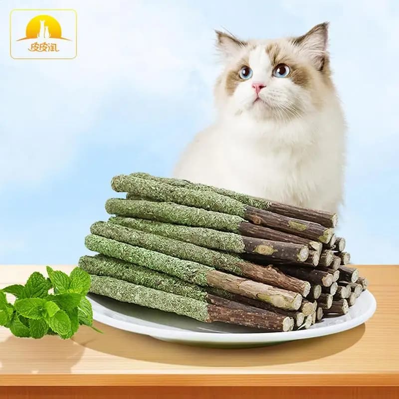 Cat Grass Sticks Indoor Cat Teething Grass Sticks Teething Stick Snacks For Cats Cat Grass Sticks For Hairball Removal - 2