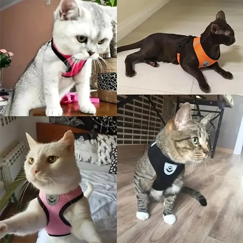 Breathable Mesh Cat Small Dog Harness And Leash Kitten Cats Harnesses Little Dog Puppy Harness For French Bulldog Chihuahua Pug - 2