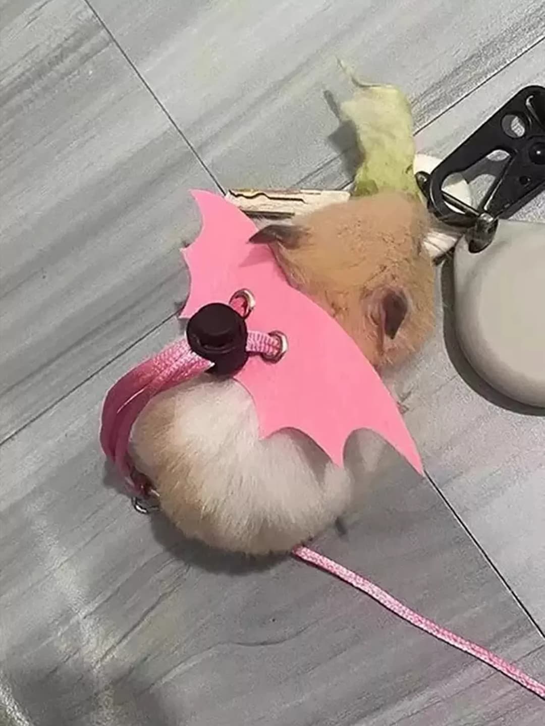 حبل جر للحيونات الصغيرة مثل الهامستر، حزام خروج مع فرع زهرة للهامستر - 6