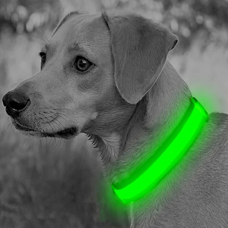 طوق مضيء LED قابل للتعديل طوق كلب مضيء USB قابل لإعادة الشحن وميض مضاد للفقدان/تجنب حوادث السيارات طوق كلاب منتجات الحيوانات الأليفة - 2