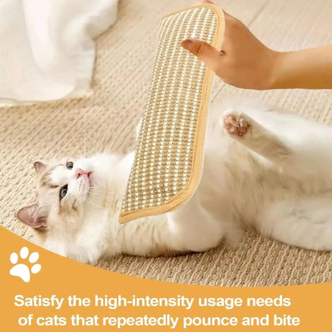 Cat Scratcher Interactive Toys for Cat Catnip Pillow Kitten Claw Grinder Scratching Post for Cats Chew Bite Toys Catnip Toy - 3