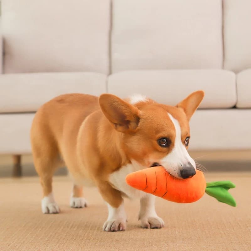 Dog Toy Pet Carrot Plush Toy Vegetable Chew Toy for Small Medium Large Dogs Universal Pet Sound Playing Toy Pet  Accessories - 4