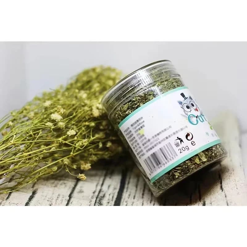 5-40g Organic 100% Cat Nip Natural Catnip Toy Cattle Grass Mint Taste Funny Cat Toy New Cat Interactive Cat Toys Pet Supplies - 5