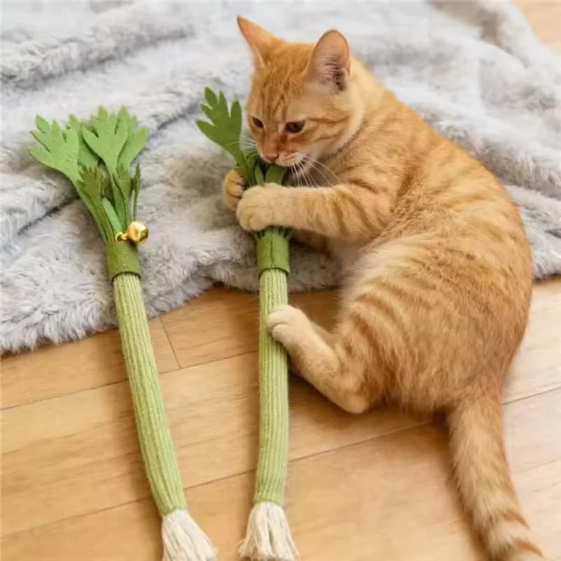 Cat Chew Toys Catnip Cat Teeth Cleaning Toy Interactive Self Playing Catnip Molar Stick Toys Bite Squeaky Cat Toy - 2