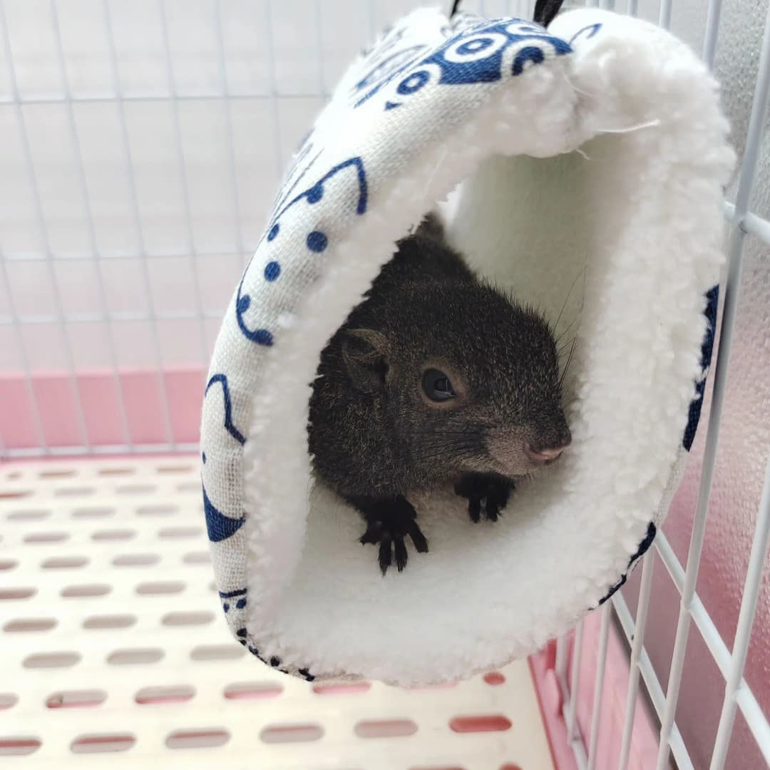 Random Color 1pc Small Pet Tunnel Honey Bag Gliding Mink Sprig Rat Guinea Pig Super Soft Plush Tunnel Nest Hamster Warm Tunnel - 3
