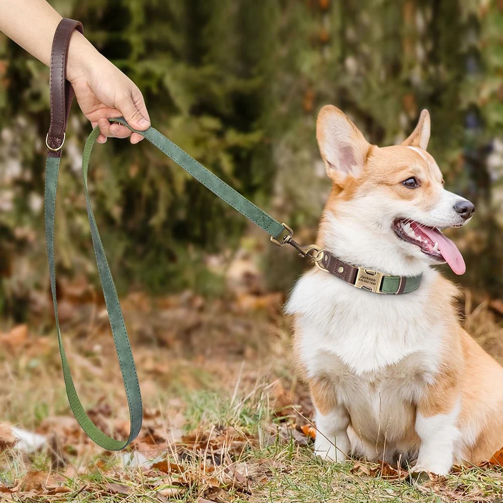 Personalized Dog Collar Leash Durable Nylon Leather Dog Buckle Collars Necklace Pet Walking Leash for Small Medium Dogs Pitbull - 5