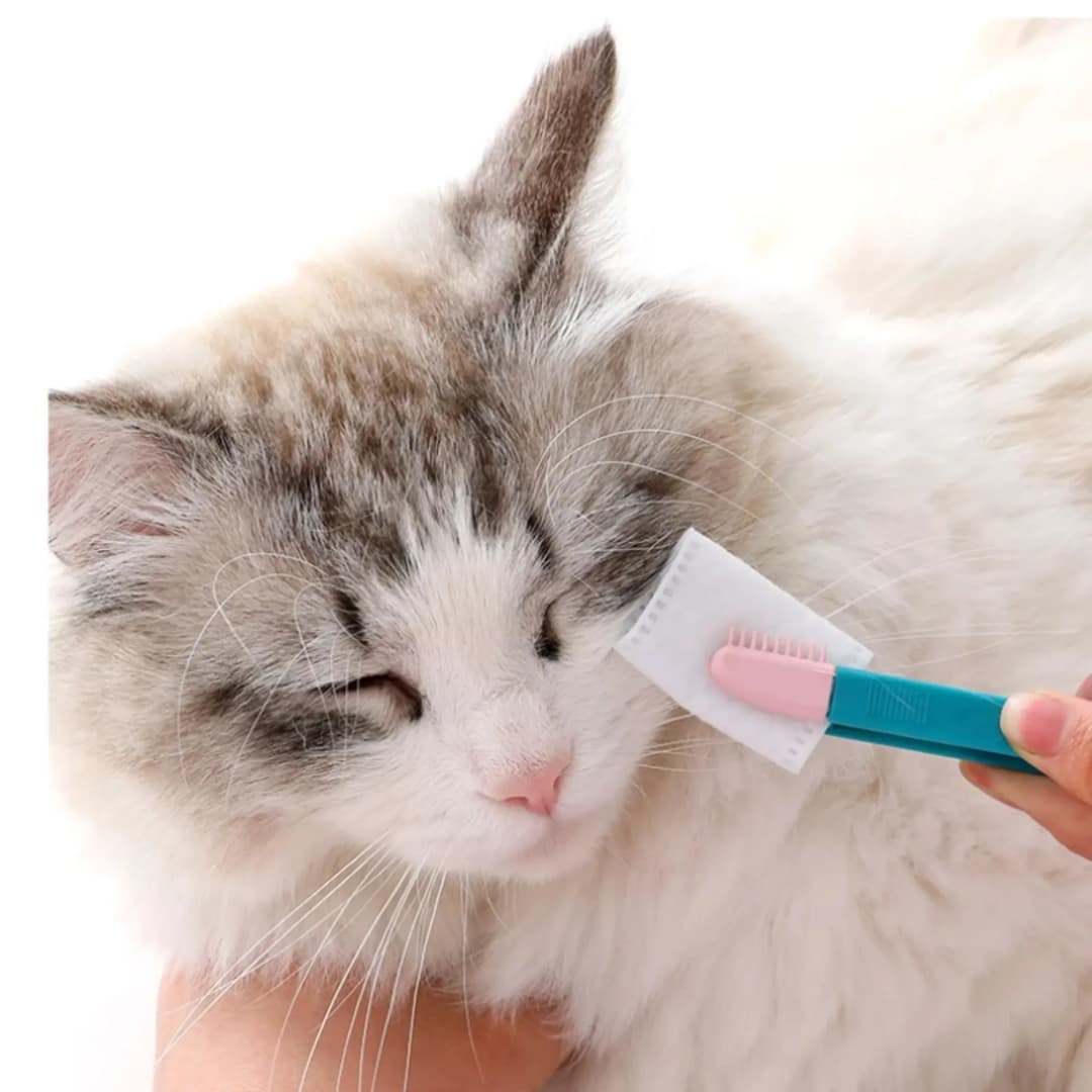 Pet Eye Cleaning Brush Comb Tear Stain Remover Cleaning Grooming Brushes for Small Cat Dog Pets Eye Wipe Cleaner Products - 3