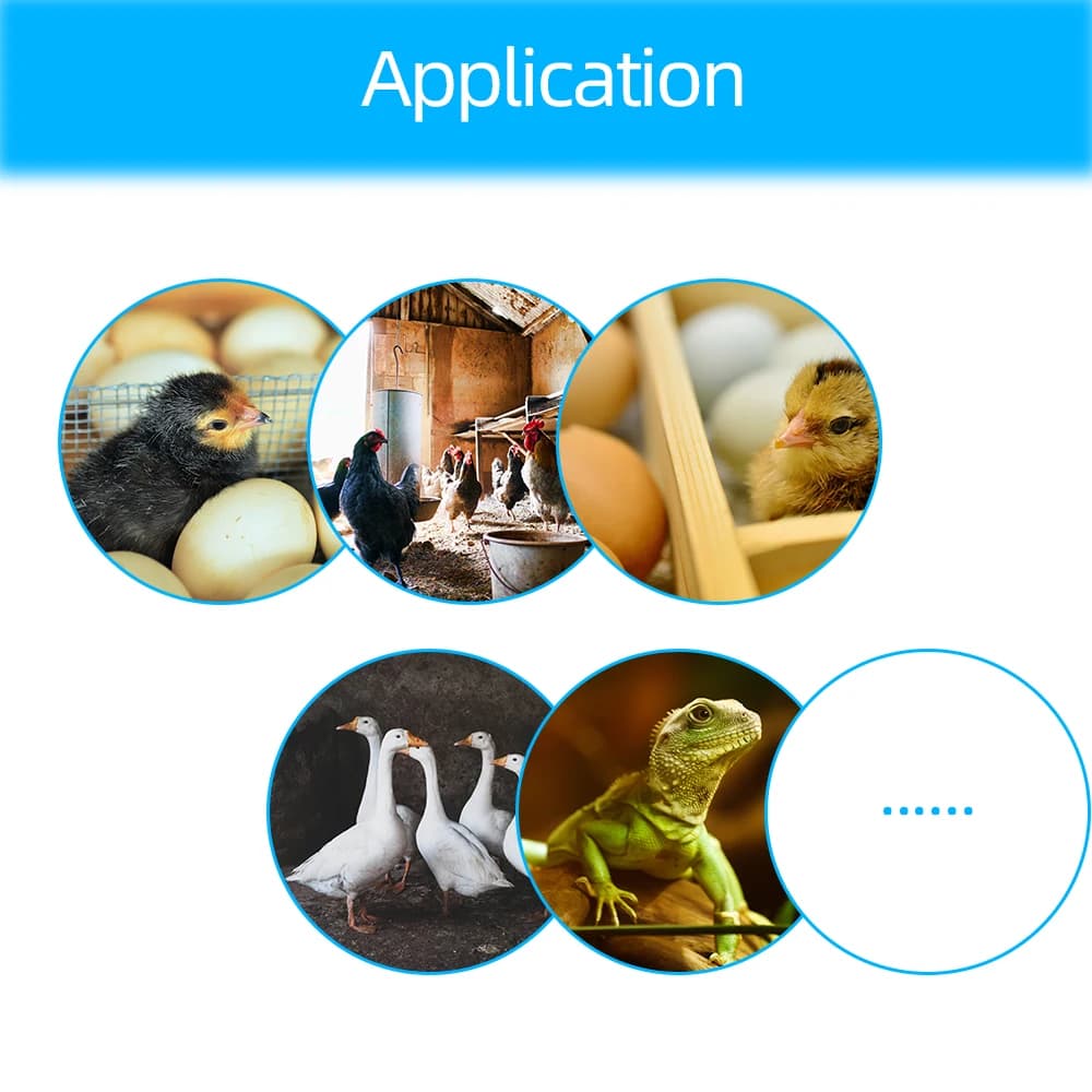 XM-18 Digital Egg Incubator Controller Multifunctional Thermostat Hygrostat Control with Temperature Humidity Sensor Probe - 6