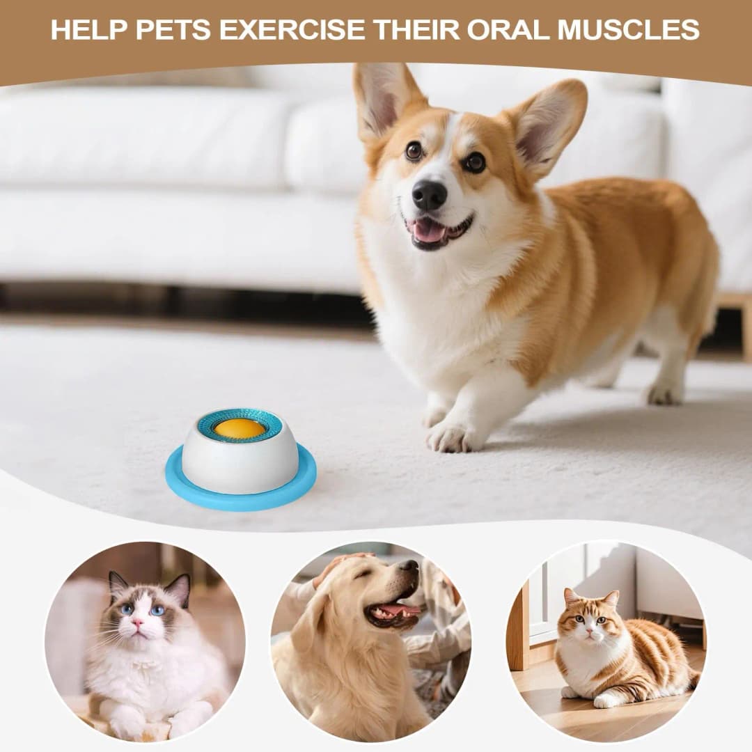 Pet Feeding Accessories Dog Treat Toy Puzzle Toys For Bored Puppy Slow Feeder Puppy Supplies For Healthy Eating Food Crate - 3