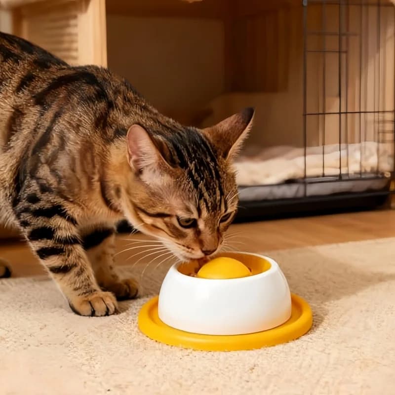 إكسسوارات إطعام الحيوانات الأليفة لعبة ألغاز مكافآت الكلاب للجراء المملة مغذية بطيئة لوازم الجراء لتناول الطعام الصحي - 5