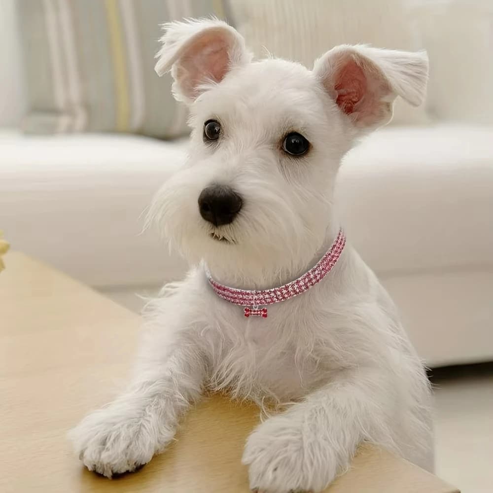 Bling Bone Pet Collar-Adjustable Necklace for Small Dogs and Cats-Cute and Fancy Accessory for Puppies-Adds Style and Glamour - 4