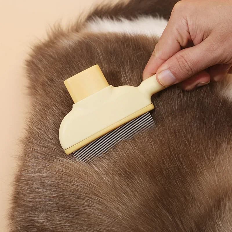 مشط للقطط والكلاب، فرشاة إزالة الشعر، أدوات تنظيف جمالية، لوازم عالمية للحيوانات الأليفة - 6