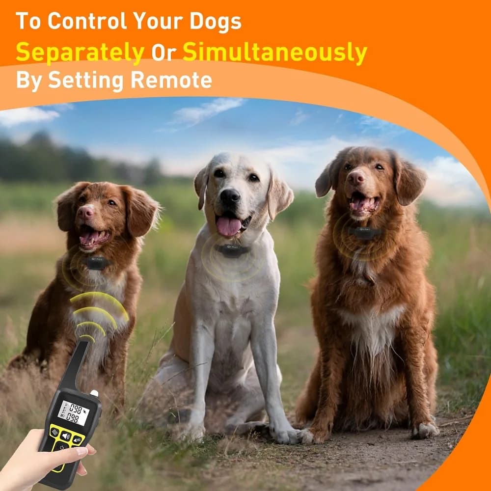 No Shock Vibration Dog Training Collar 1000M Remote Anti Bark Collar Rechargeable Waterproof  Vibration Collar for All Dogs - 4