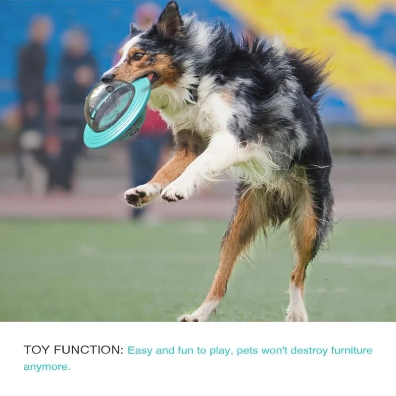 Interactive Design Dog Ball Toys Food Dispensing Pet Slow Feeder Ball Dog Enrichment Toys Dogs IQ Treat Ball Puzzle Toy - 2