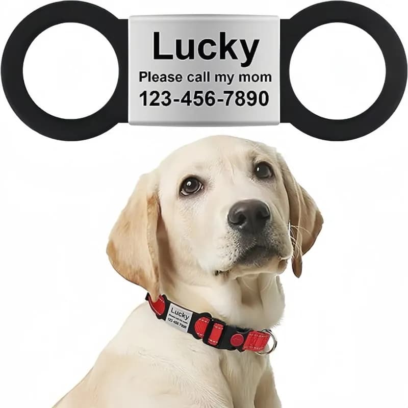 طوق مخصص للقطط والكلاب مع بطاقة هوية شخصية نقش سحر قلادة اسم قلادة عظم قلادة جرو من الفولاذ المقاوم للصدأ إكسسوارات الحيوانات الأليفة