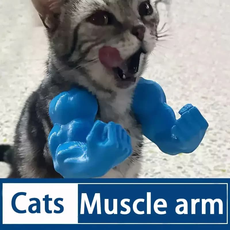Cat Muscle Arm Pendant Pet Cat Fist Neck Fist Set Show Cat Doll Arm Strong Neck Hanging
