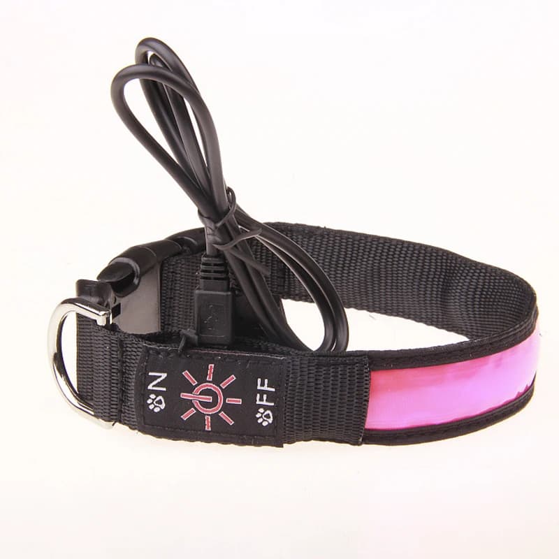 Pinkycolor USB Charging LED Dog Collar Luminous Light Night Safety Reflective Leather Glowing Collar For Dogs Pets Rechargeable - 2