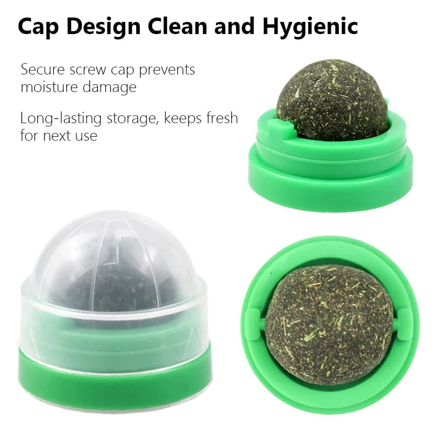 Spinning Catnip Mint Ball for Cats, Interactive Dental Care Chew Toy with Natural Catnip, Hairball Control Kitten Cat Toys - 5