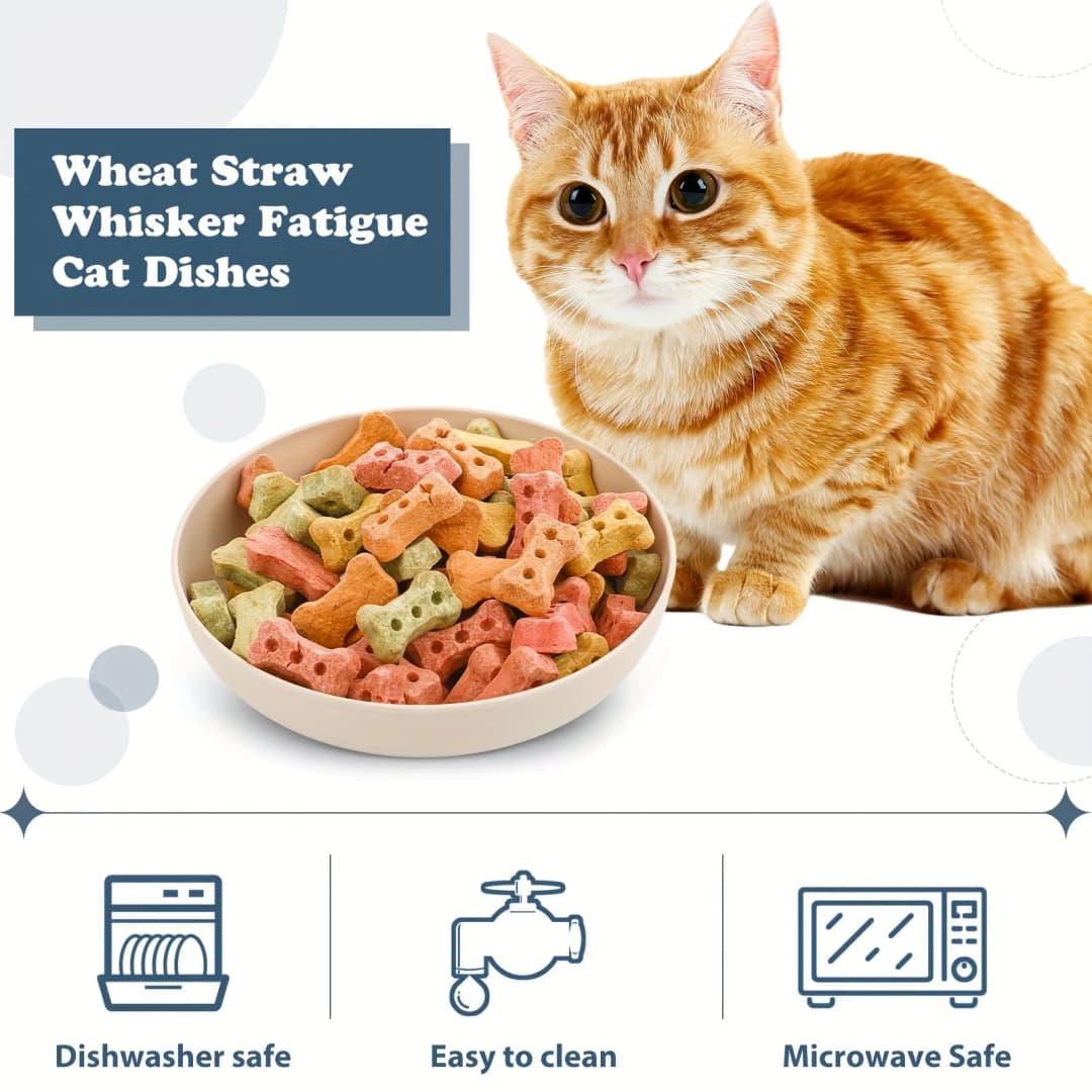 Pack of 4 whisker-friendly cat bowls - Shallow, non-slip, colorful feeding dishes for easy eating - Perfect for small cats, kitt - 4
