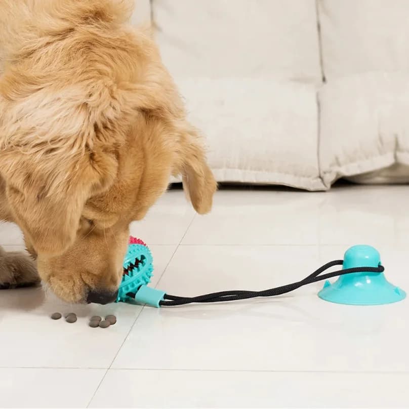 Dogs Food Toys Silicon Suction Cup Tug Interactive Dog Ball Toy For Pet Chew Bite Tooth Cleaning Toothbrush Feeding Pet Supplies - 2