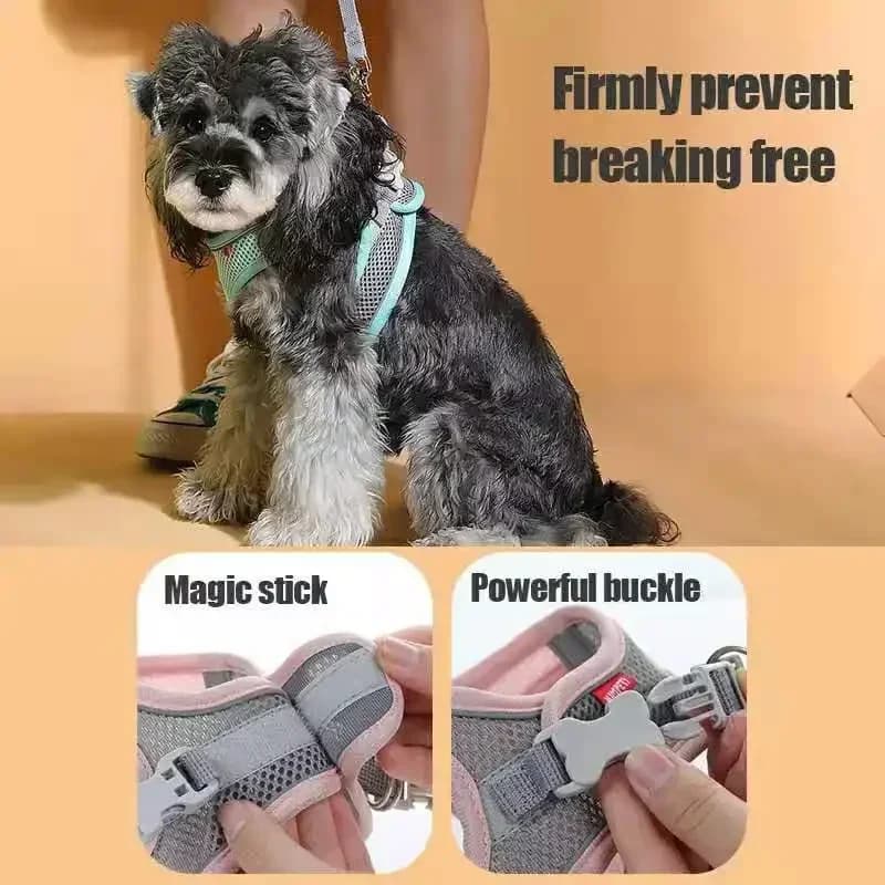 إكسسوارات للقطط والكلاب طوق أمان للكلاب الصغيرة سترة أمان للحيوانات الأليفة حبل صدر للكلاب أغطية قابلة للتنفس أحزمة قابلة للتعديل - 3