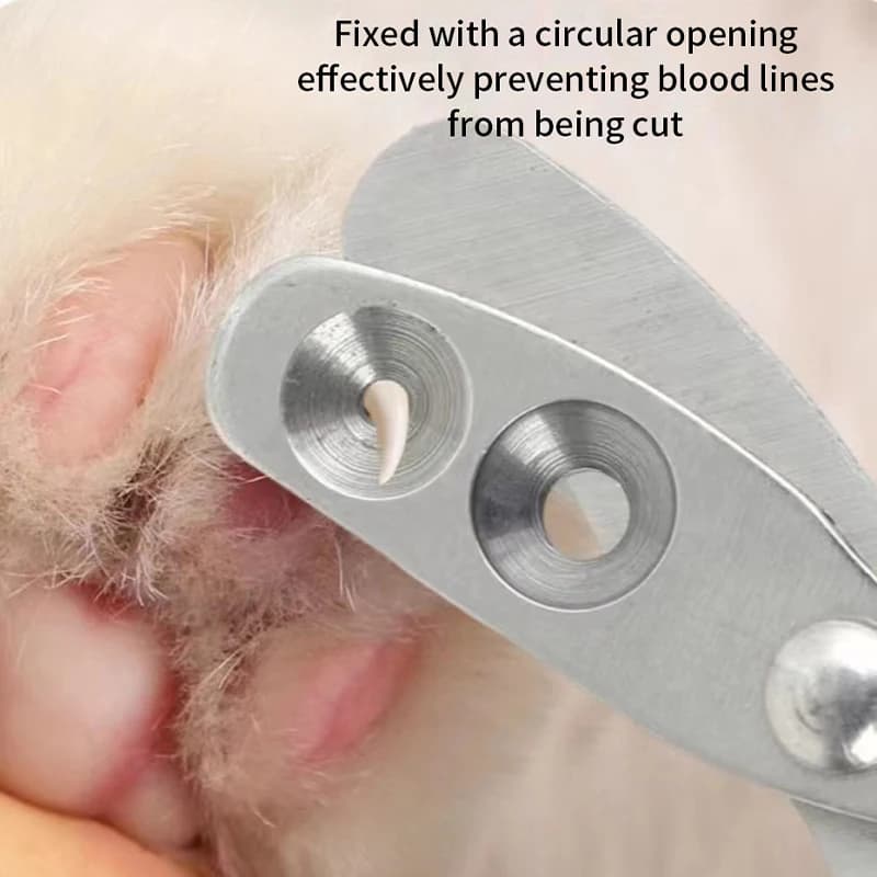 Professional Cat Nail Clippers for Small Cat Dog Stainless Steel Puppy Claws Cutter Pet Nail Grooming Clippers Trimmer - 3