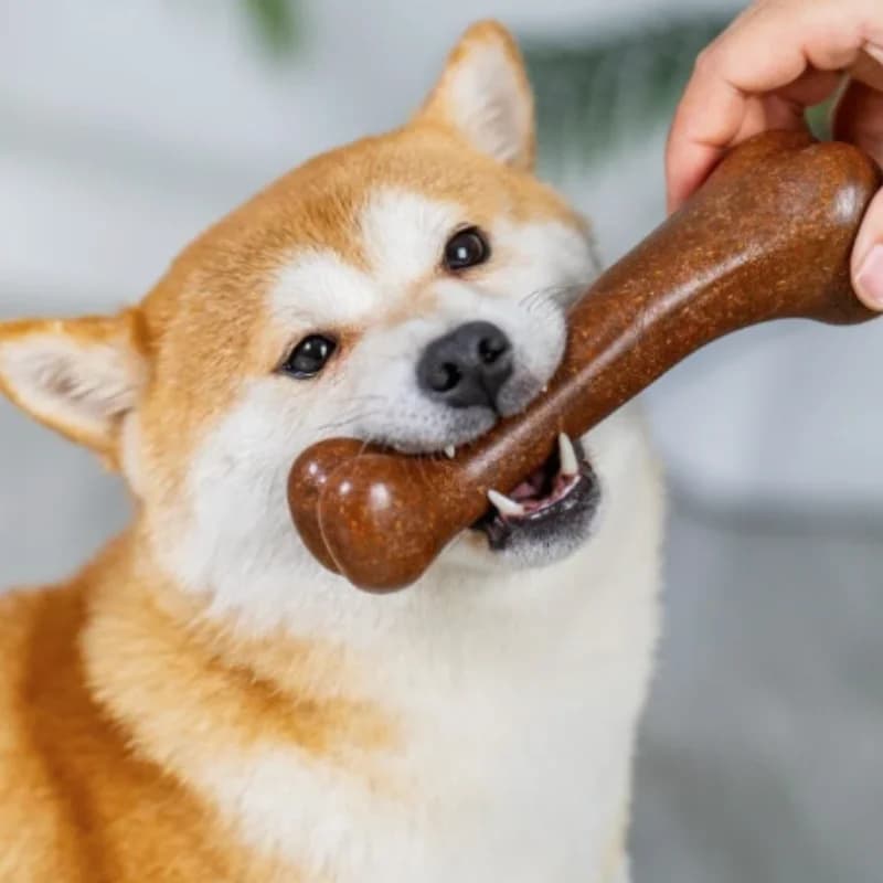 Natural Non-Toxic Indestructible Dog Bone Chew Toy Anti-Bite Puppy Teething Chew Toy for Small Medium Large Dogs Pet Chewbone - 3