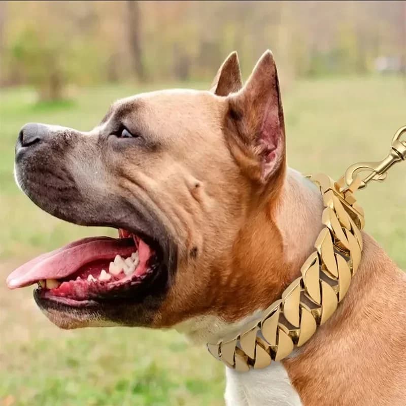 32MM Wide Strong Metal Dog Chain Collars Stainless Steel Dog Choker Pitbull Gold Dog Necklace For Large Dogs - 3
