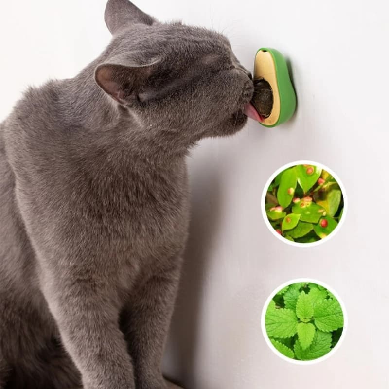 النعناع البري الطبيعي صحي الحيوانات الأليفة القط لعبة الجدار عصا على الكرة القطط تنظيف الأسنان النعناع البري ألعاب كروية القط وجبات خفيفة هريرة القط النعناع البري لعبة - 6