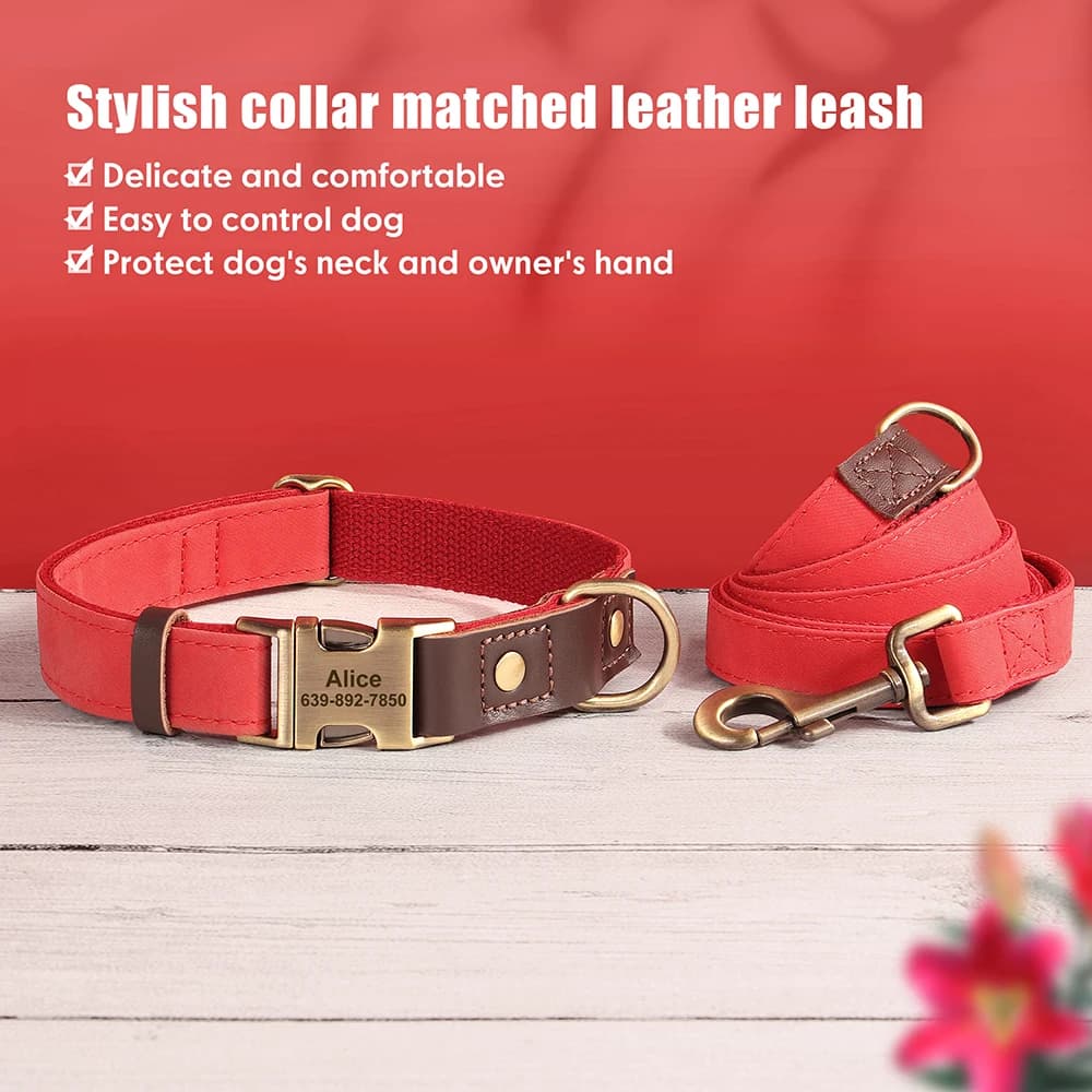 Personalized Dog Collar Leash Durable Nylon Leather Dog Buckle Collars Necklace Pet Walking Leash for Small Medium Dogs Pitbull - 2