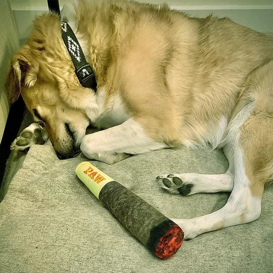 Funny Cigar Plush Squeaky Interactive Dog Toys Design Squeaky Pet Toys Grinding Teeth Creative Chew Toy for Small Medium Dog - 6