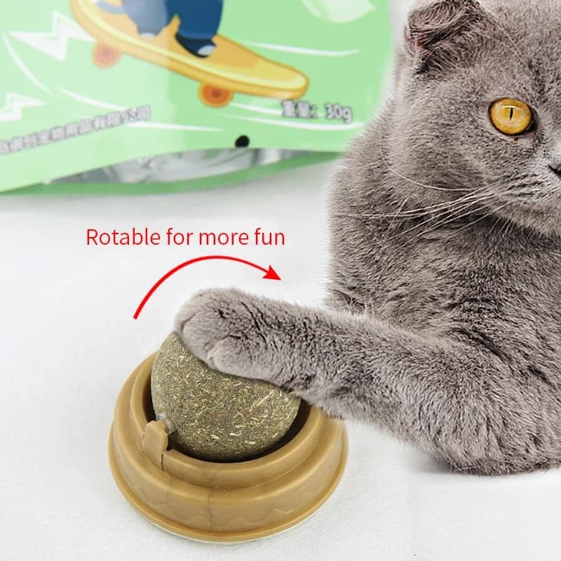 Natural Catnip Scratching Post for Cat Scrapers Cat Wall Sticker Ball Toy Scraper Cats Pet Products Therapeutic Healthy Toys Hom - 2