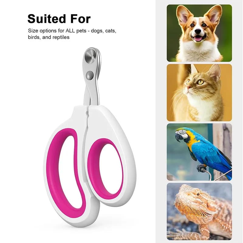 Pet Dog Cat Small Animal Nail Clipper, Suitable for Hamster Rabbit Hedgehog Chinchilla Guinea Pig Cats Paw Trimmer Grooming - 2