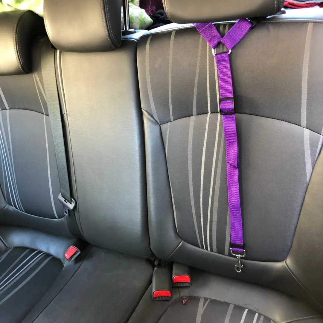 Solid Color Two-in-one Pet Car Seat Belt Nylon Lead Leash Backseat Safety Belt Adjustable Dogs Harness Collar Pet Accessories - 2