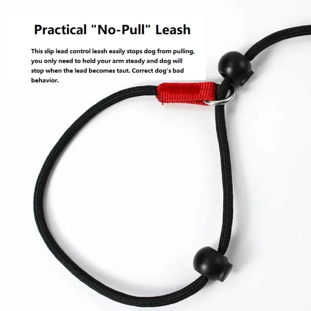 Training Dog Choking Rope Leash 2 in 1 Lead Collar 150cm P-Shaped Chain Slip Lead Control Leash for Small Large Competition Dogs - 3