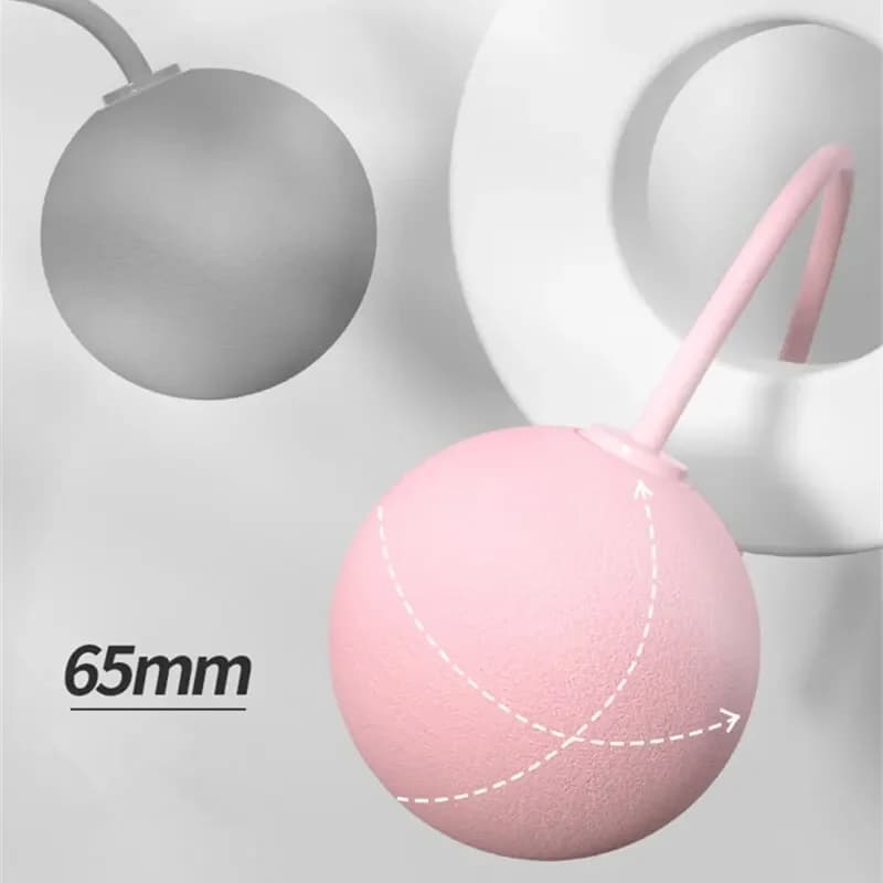 حبل قفز لاسلكي مع كرات ثقيلة لتدريب اللياقة البدنية وكمال الأجسام، معدات الصالة الرياضية المنزلية - 2