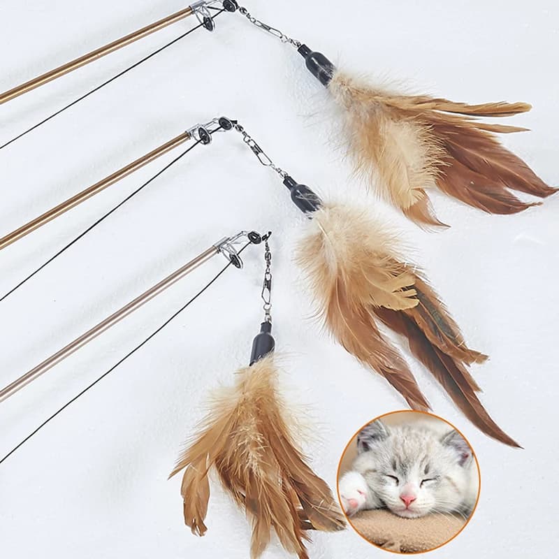 لعبة عصا قطط تلسكوبية، لعبة تيزر للقطط، لعبة ريش تفاعلية مضحكة، ألعاب تخفيف الملل للحيوانات الأليفة - 5