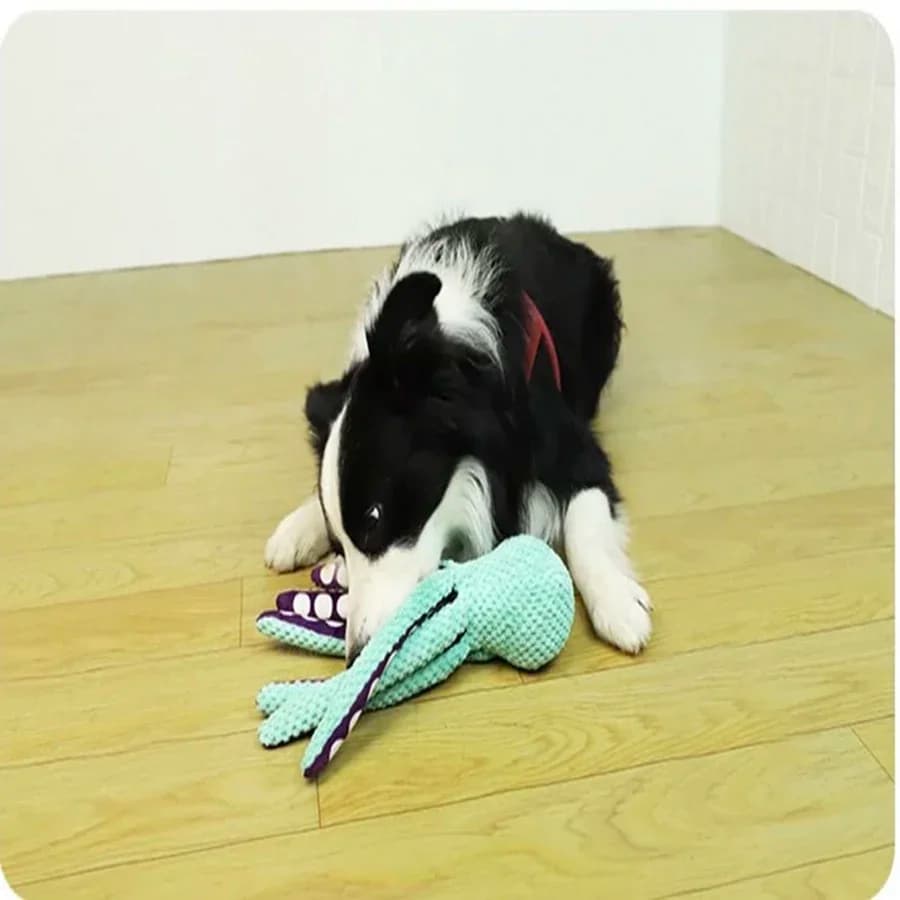 Pet plush octopus toy interactive sound anti-demolition home large and small dog boredom companion dog toy - 2