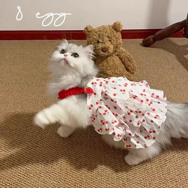 فستان للحيوانات الأليفة للكلاب والقطط - ملابس مطبوعة على شكل كعكة ذات طبقات، ملابس صغيرة متوسطة السلالات، ملابس صيفية رائعة - 5