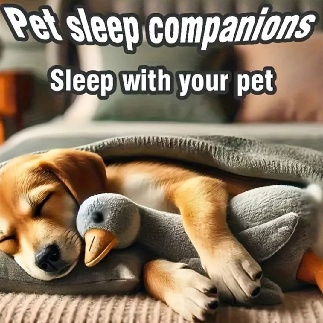 A Set of Soft Duck Plush Toys in White/Grey/Brown, Suitable for Cats and Dogs to Play With, Helping Them Play and Expend Energy, Suitable for Small to Medium-Sized Pets (Large Pets May Bite, so They Are Not Recommended for Large Pets). - 2