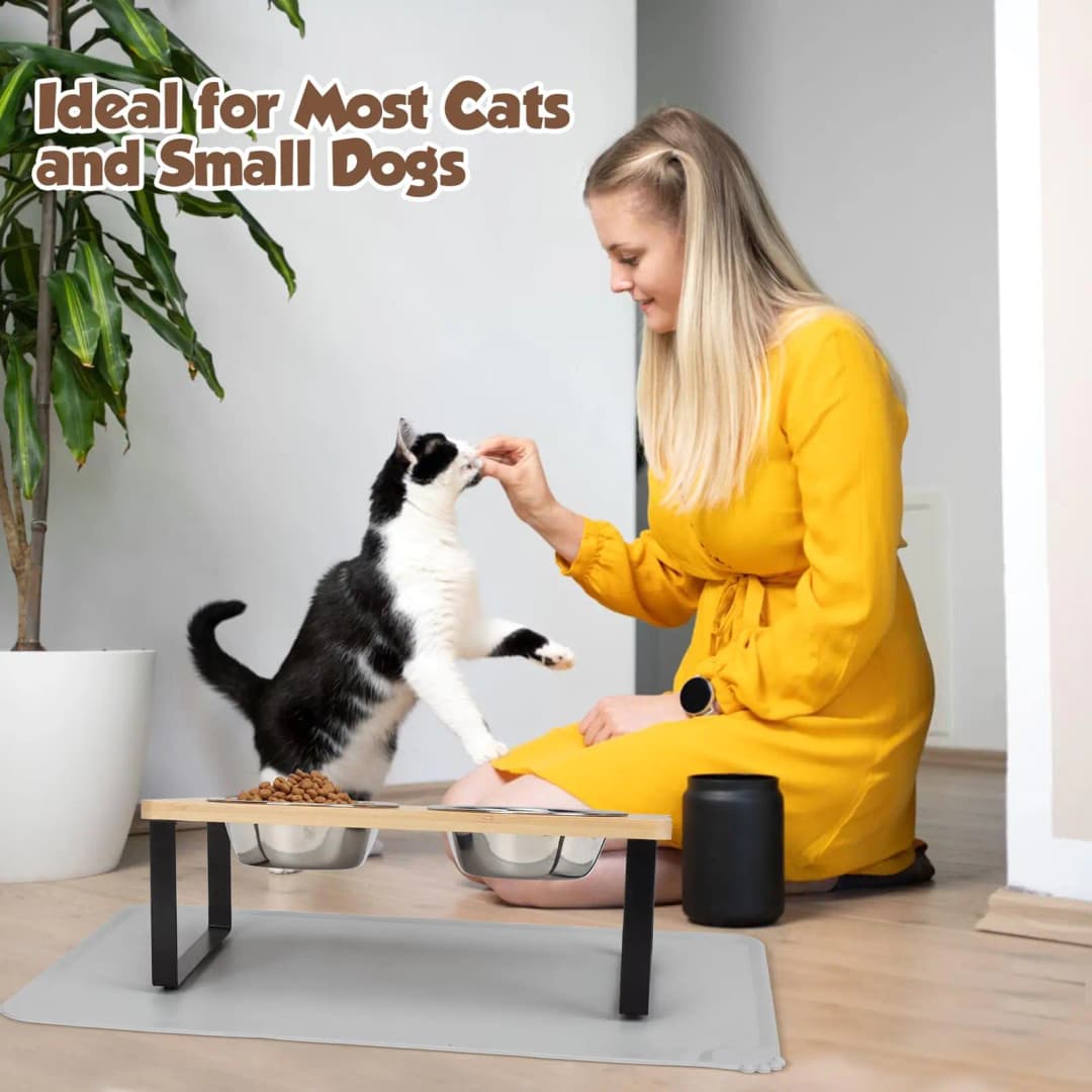 Elevated Cat Bowls with Food Mat 15° Tilted Stand Raised Cat Dishes for Food and Water Feeder 2 Stainless Steel Bowls for Cats - 6