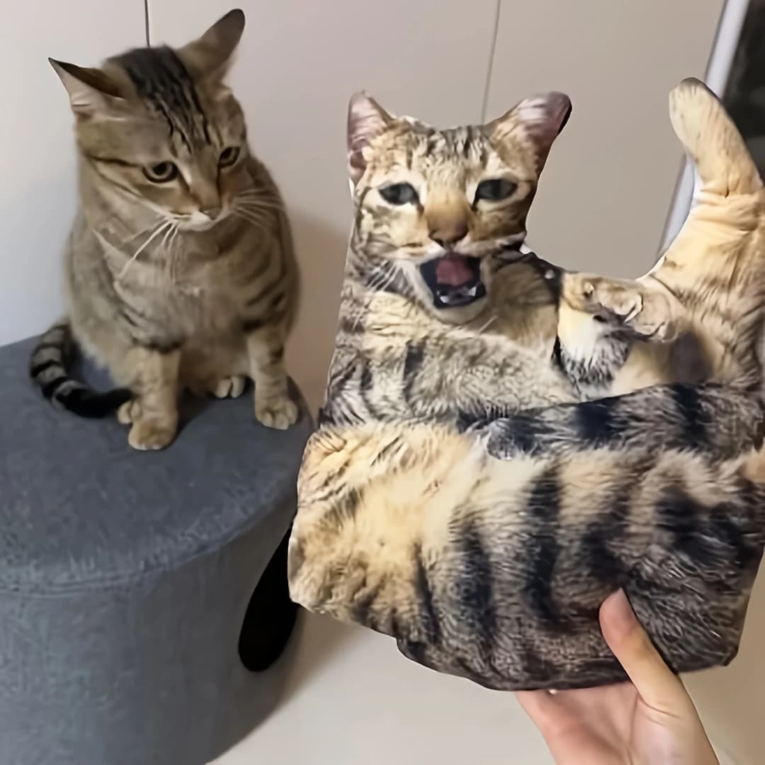 وسادة حيوان أليف قابلة للتخصيص، لعبة محشوة بتصوير ثلاثي الأبعاد للقطط والكلاب، وسادة حيوان صغيرة