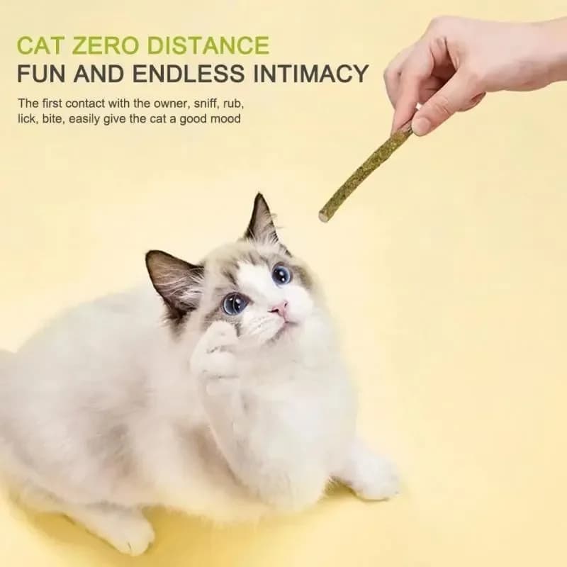 6pcs Natural Matatabi Cat Stick Mint Caught Bite Excited Rods Silvervine For Cat Teeth Cleaning Treating Pet Supply Cat Supplies - 4
