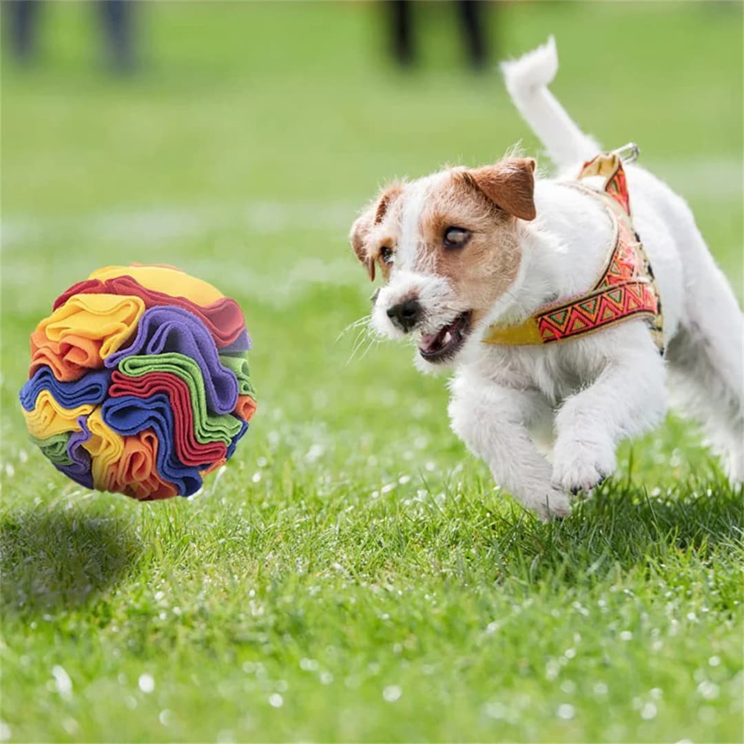 Dog Sniffing Ball Puzzle Toys Increase IQ Slow Dispensing Feeder Foldable Dog Nose Sniff Toy Pet Training Games Intelligence Toy - 2