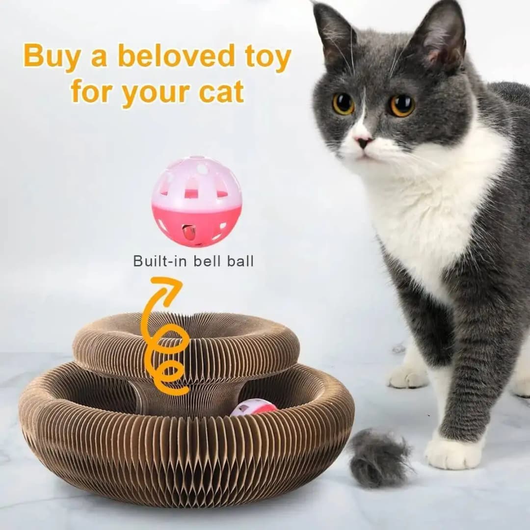 Magic Organ Cat Toy Cats Scratcher Scratch Board Round Corrugated Scratching Post Toys for Cats Grinding Claw Cat Accessories - 4
