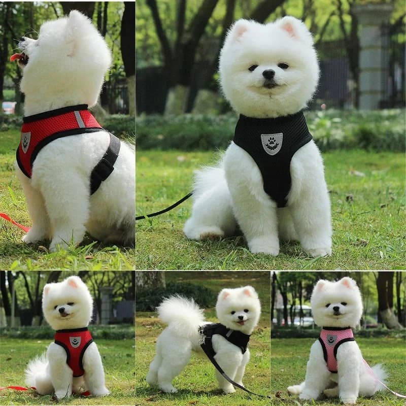 Breathable Mesh Cat Small Dog Harness And Leash Kitten Cats Harnesses Little Dog Puppy Harness For French Bulldog Chihuahua Pug - 3