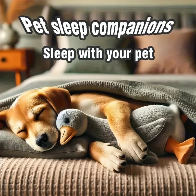 لعبة بط ناعمة ملونة بطول 50 سم للقطط والكلاب رفيق مريح للحيوانات الأليفة يخفف القلق ويطلق الطاقة هدية للحيوانات الأليفة - 4