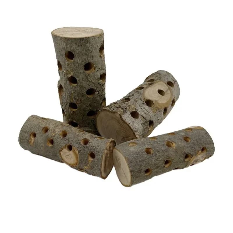 عصا مضغ للحيوانات الصغيرة، من خشب التفاح، مقاومة للعض، للببغاوات والطيور، مع حامل خشبي - 4