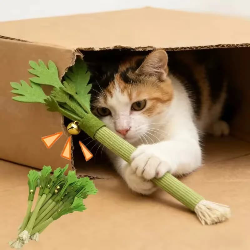 الحيوانات الاليفة