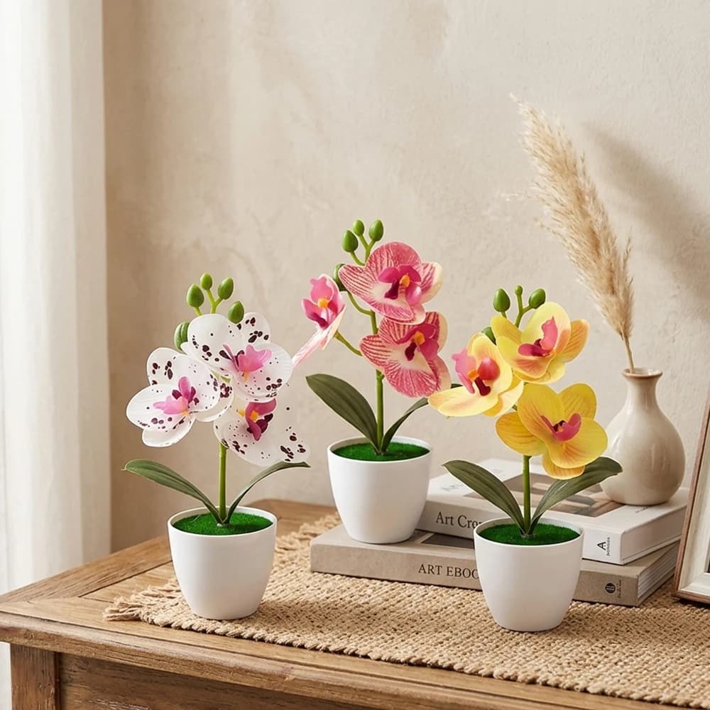 Home Decor